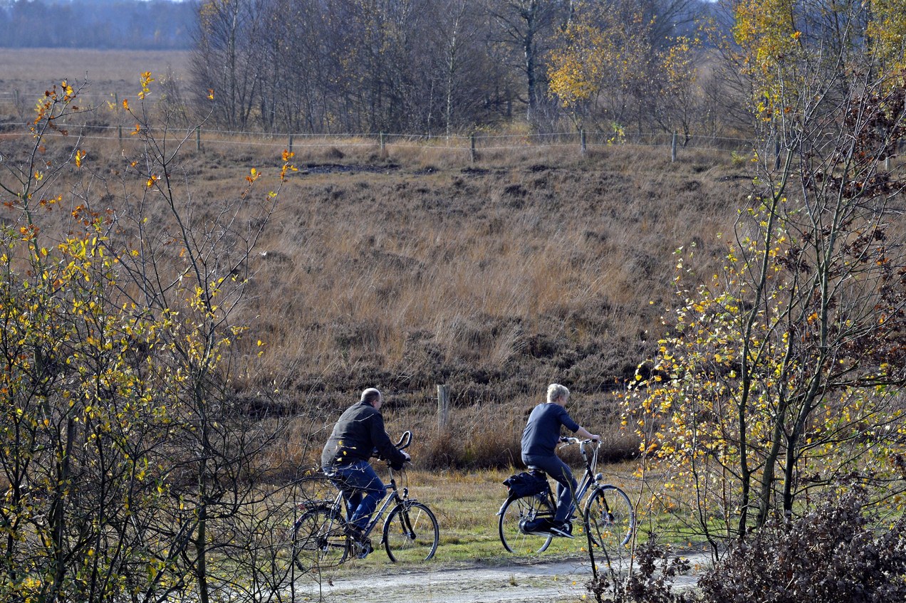 een man en een vrouw die fietsen op de heide