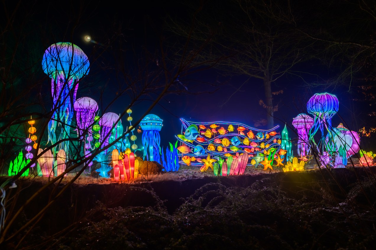 verlichte figuren in allerlei kleuren